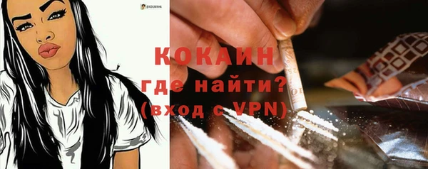 первитин Богородицк