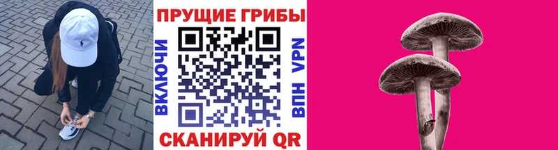 Галлюциногенные грибы Psilocybine cubensis  omg рабочий сайт  Оха 